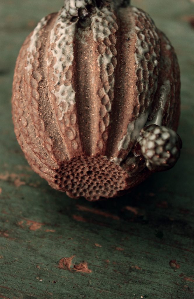 Pièce réalisée en mai 2016 pour le projet de certification intitulé Intrus, pour le DMA céramique au lycée Léonard de Vinci d'Antibes.